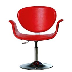 Designer-Style-Chairs -2282